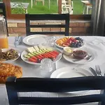 Ilir *
