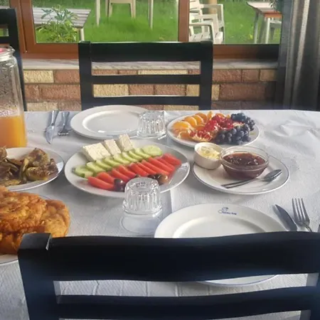 Ilir *