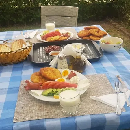 بيت ضيافة Ilir